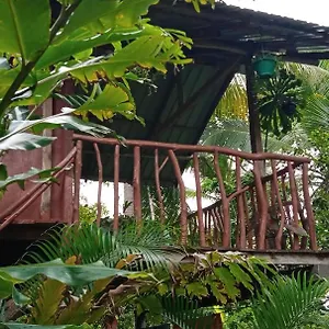  Farm stay Sigiri Panaromic Tree House Sri Lanka