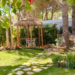 Garden Paradise , Durrës Albanien